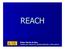 REACH. Esther Martín de Dios. Subdirección General de Sanidad Ambiental y Salud Laboral