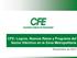 CFE: Logros, Nuevos Retos y Programa del Sector Eléctrico en la Zona Metropolitana. Noviembre de 2012