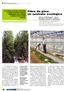 artículo Fibra de pino: un sustrato ecológico revista