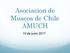 Asociacion de Museos de Chile AMUCH. 15 de junio 2017