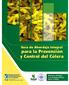 Guía de Abordaje Integral. para la Prevención y Control del Cólera. Ministerio de Salud Caja de Seguro Social Sector Privado