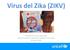 Virus del Zika (ZIKV) Katherine M. Silva-Jaramillo Oficial de Salud y Nutrición UNICEF en Ecuador 05 Abril 2016