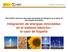Integración de energías renovables en el sistema eléctrico: el caso de España