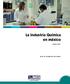 Presentación Instituto Nacional de Estadística, Geografía e Informática (INEGI) La Industria Química en México, Edición 2007, INEGI Instituto