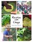 Recetas con Chaya. Para toda la familia!