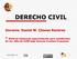 DERECHO CIVIL. Docente. Daniel W. Chaves Ramírez