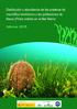 Distribución y abundancia de las praderas de macrófitos bentónicos y las poblaciones de Nacra (Pinna nobilis) en el Mar Menor