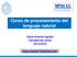 Curso de procesamiento del lenguaje natural