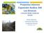 Proyectos mineros Expansión Andina 244 Los Bronces Comisión Medio Ambiente. Flavia Liberona Directora Ejecutiva Fundación Terram 9 de abril de 2013