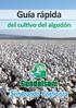 Por ello, en nuestro tercer año de existencia, hemos querido compartir con todos vosotros una Guía rápida del cultivo del algodón.