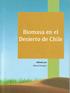 Biomasa en el Desierto de Chile