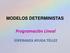 MODELOS DETERMINISTAS. Programación Lineal ESPERANZA AYUGA TÉLLEZ