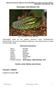 Método de Evaluación Rápida de Invasividad (MERI) para especies exóticas en México Dendroaspis viridis Hallowell, 1844