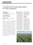 DOSSIER. La búsqueda de alternativas. La producción de forrajes deshidratados en el Bajo Guadalquivir. coronarium L.).