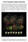 Como fotografiar fuegos artificiales