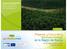 Presente y futuro de la biomasa forestal en la Región de Murcia. Proyecto PROFORBIOMED