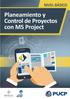 Planeamiento y Control de Proyectos con MS Project