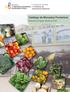 Catálogo de Mercados Fronterizos. Mercado de Aguas Verdes en Perú