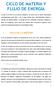 CICLO DE MATERIA Y FLUJO DE ENERGÍA