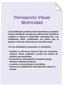 Percepción Visual Motricidad