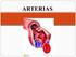 Cuestionario: 2. Menciona las 3 túnicas(capas) por las que esta formada una arteria.