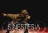 Sinestesia. Iron Skulls Co.