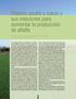 Fósforo, azufre y calcio y sus relaciones para aumentar la producción de alfalfa
