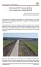 Ruta Provincial N 9 - Provincia del Chaco Tramo: Capitán Solari - Empalme RN N 95