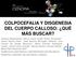 COLPOCEFALIA Y DISGENESIA DEL CUERPO CALLOSO: QUÉ MÁS BUSCAR?
