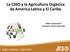 La CIAO y la Agricultura Orgánica de América Latina y El Caribe. Pedro Cussianovich Secretario Técnico dela CIAO