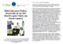 Mini Guía para Padres: Desarrollo de un IEP Efectivo para Niños con Sordo-ceguera
