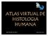 ATLAS VIRTUAL DE HISTOLOGIA HUMANA