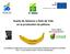 Huella de Carbono y Ciclo de Vida en la producción de plátano
