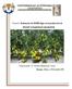 Proyecto: Evaluación de VIUSID-Agro en la producción de Jitomate (Licopersicum esculentum) Responsable: Dr. Ranferi Maldonado Torres