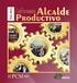 Informe Alcalde Productivo Perú2013