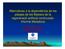 Alternatives a la dependència de les platges de les Balears de la regeneració artificial continuada: Informe Metadona