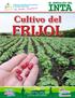 Cultivo del FRIJOL. AÑO 6 Edición No. 5 febrero de Tiraje: 10,000 ejemplares Financiado por: PASOS 2738/BL-NI