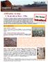 JORDANIA 10 Días Fin de Año en Petra 27Dic