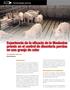 Experiencia de la eficacia de la tilvalosina premix en el control de disentería porcina en una granja de cebo