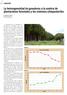 La heterogeneidad de ganaderos a la sombra de plantaciones forestales y los sistemas silvopastoriles