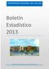 Boletín Estadístico 2013