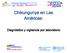 Chikungunya en Las Américas: Diagnóstico y vigilancia por laboratorio