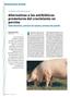 Alternativas a los antibióticos promotores del crecimiento en porcino