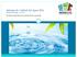 Informe de Calidad del Agua 2016 Sistema de Jennings Este informe contiene información muy importante sobre su agua potable.
