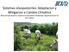 Sistemas silvopastoriles: Adaptacion y Mitigacion a Cambio Climática Muhammad Ibrahim, Experto en Ganadería Ambiental, Representante de IICA -Belize