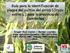 Guía para la identificación de plagas del cultivo del arroz (Oryza sativa L.) para la provincia de Corrientes