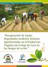 Recuperación de Suelos Degradados mediante Sistemas Agroforestales en la Producción Orgánica de la Hoja de Coca en los Yungas de La Paz