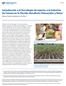 Introducción a la Tecnología de Injertos a la Industria de Tomate en la Florida: Beneficios Potenciales y Retos 1
