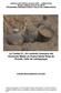 La Tumba 21: Un contexto funerario del Horizonte Medio en Huaca Santa Rosa de Pucalá, Valle de Lambayeque