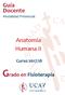 Guía Docente Modalidad Presencial. Anatomía Humana II. Curso 2017/18. Grado en Fisioterapia